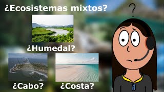 Ecosistema mixto  JEAR [upl. by Cosimo]