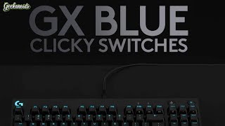 Logitech G Pro Gaming Keyboard GX Blue Clicky Review [upl. by Ebeohp2]