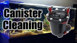 How to Clean Fluval FX6 Canister Filters Quick amp Simple [upl. by Millda]