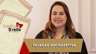 Explica Direito Filiação Socioafetiva  2019 [upl. by Hafeetal]