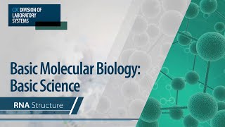 Basic Molecular Biology Basic Science – RNA Structure [upl. by Crissie]