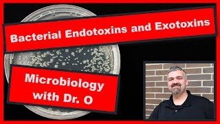 Bacterial Endotoxins and Exotoxins Microbiology [upl. by Berlin]