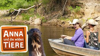 Wo steckt der Riesenotter  Reportage für Kinder  Anna und die wilden Tiere [upl. by Janenna865]