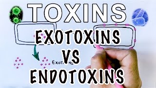 Overview of Toxins  Exotoxins Vs Endotoxins [upl. by Oinotnas]