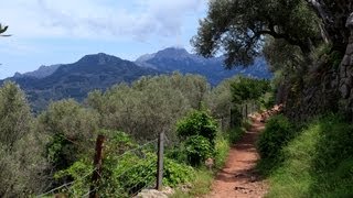 Wanderung Port de Sóller  Sóller [upl. by Lucien44]