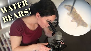 How to Find WATER BEARS Advice from Experts [upl. by Tterb905]