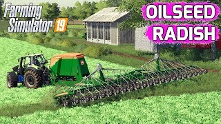 Farming Simulator 19  Oilseed Radish [upl. by Hyacinthe]