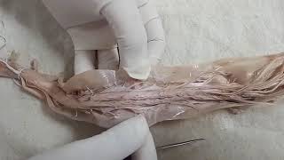 NEUROANATOMY  SPINAL CORD EXTERNAL FEATURES  BY DR MITESH DAVE [upl. by Rip]