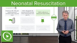 Neonatal Resuscitation SimulationNursing Education [upl. by Adneral239]