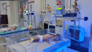 How To Become A Neonatal Nurse NICU [upl. by Eeryn]