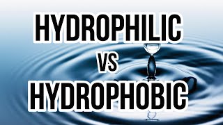 Hydrophilic vs Hydrophobic [upl. by Haveman]