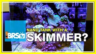 FAQ 11 Is a skimmer necessary on a nano reef aquarium  52 FAQ [upl. by Tj]