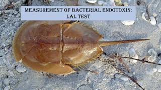 Endotoxin testing  BET  LAL test [upl. by Aifas]