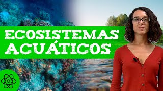 Qué son los ECOSISTEMAS ACUÁTICOS 🌊 Tipos [upl. by Pasquale]