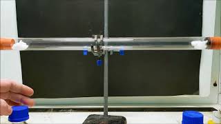 Ammonia and hydrogen chloride diffusion experiment [upl. by Leo]