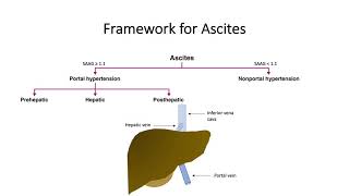 Kenneths Experience Living with Ascites [upl. by Lenette]