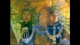 Mapuche Kutran  La salud mapuche [upl. by Euf648]