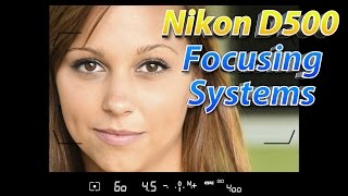 Nikon D500 Tutorial Part 2  How To Focus Training [upl. by Severin]