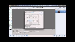 Resizing a Photo in Photoshop Elements [upl. by Ammej524]