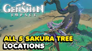 All 5 Sakura Tree Locations In Genshin Impact Sakura Arborism World Quest Guide [upl. by Airdnna]