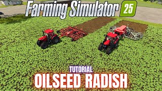 GROWING OILSEED RADISH  TUTORIAL  Farming Simulator 25 [upl. by Aniratac589]