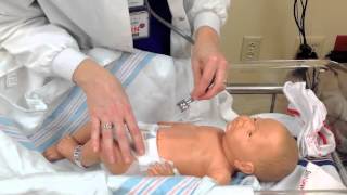 Newborn Assessment Sibcy [upl. by Langan]