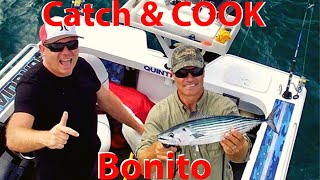 HOW TO COOK BONITO FISHING amp COOKING PAUL BREHENY [upl. by Allcot663]