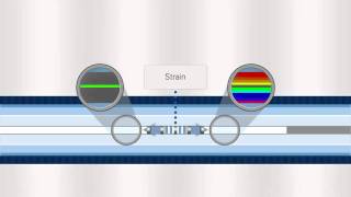 FBG Optical Sensing Overview [upl. by Inavoy]