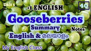 Gooseberries summary in Malyalam Plus one English chapter summary in Malyalam summary notes exam [upl. by Patrizius]