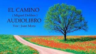 EL CAMINO Miguel Delibes AUDIOLIBRO Narrado por Joan Mora [upl. by Reppart]