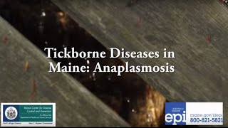 Tickborne Diseases in Maine Anaplasmosis [upl. by Nnayr]