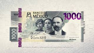 Billete de 1000 pesos de la familia G  Revolución Mexicana [upl. by Can]