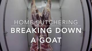 Goat amp lamb butchering at home [upl. by Manson]