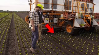 Advanced Agriculture Planting Technology  Modern Agriculture Technology  New Farming Technology [upl. by Waddle366]