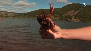 Hérault  le lac de Salagou site devenu incontournable fête ses 50 ans [upl. by Seiber888]