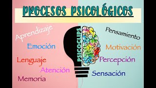 Procesos Psicológicos  ¿Qué es ¿Cómo funcionan EjemploResumenLibros [upl. by Lyrrehs]