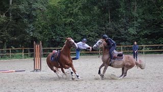 SHOW JUMPING FAILS AND MORE [upl. by Anaud151]