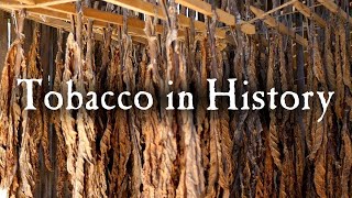 Growing Tobacco In Early America [upl. by Dutch]