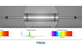 FBG Sensor Principle [upl. by Bondy]