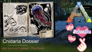 Cnidaria Dossier  ARK  The Island [upl. by Nerrej]