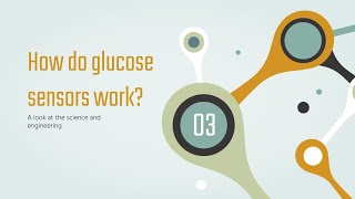 Glucose Sensors Explained [upl. by Ahsatniuq]