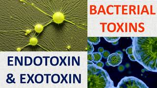 Bacterial toxins Endotoxin amp Exotoxin [upl. by Madlin]