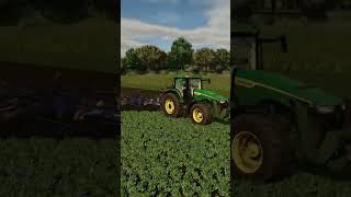 Cultivating Oilseed Radish  Farming Simulator 25 [upl. by Lee]