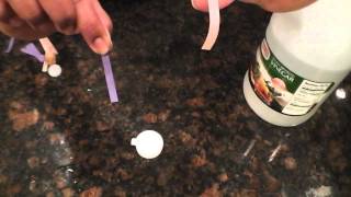 Acids and BasesTesting using litmus paper [upl. by Cannice]