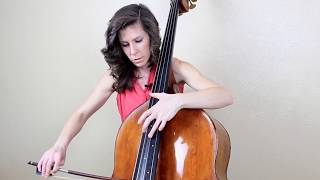 Double Bass Solo from Mahler Symphony 1 3rd Movement [upl. by Necila]