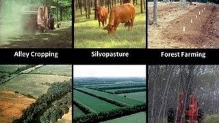 Introduction to Agroforestry Systems [upl. by Liarret836]