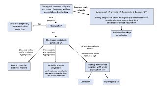 An Approach to Polyuria [upl. by Ille]