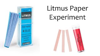 Experiment Using Blue and Red Litmus Paper [upl. by Nnylhsa]