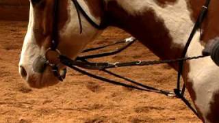 April Reeves  The German Martingale [upl. by Sisile]