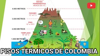 PISOS TÉRMICOS DE COLOMBIA [upl. by Lepper]